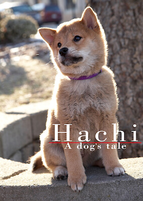 Hachi: A Dog's Tale