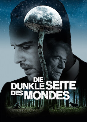 Die dunkle Seite des Mondes